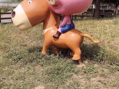 -田园东方蜜桃村的田野营地