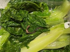 -深圳东方银座酒店