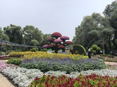 -沈阳植物园