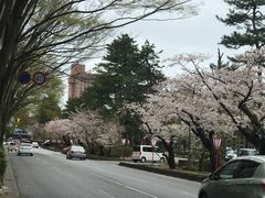 -金泽21世纪美术馆