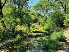 -白水寺森林公园