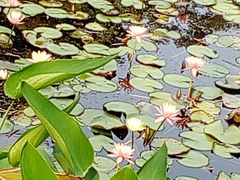 -火炉山森林公园