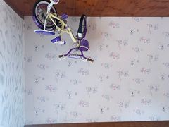 -金山农民画村-枫泾波兰倒置屋