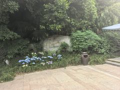 -老房子金沙元年川菜食府·花园餐厅(金沙店)