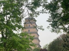 -大慈恩寺(大雁塔)