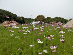 -汕头莲花山度假村温泉