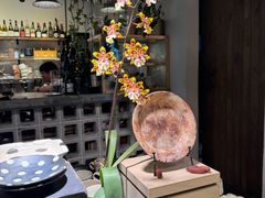 -自由生长植物工作室(深港花卉中心店)