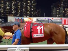 -香港赛马会双鱼河会所