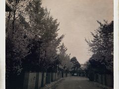 驭力搏击健身工作室-驭力搏击健身(张江高科店)