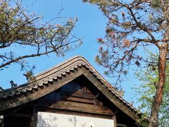 -爱新觉罗皇家博物院