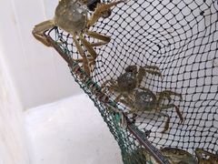 -乡乐园蟹庄·阳澄湖农家乐