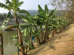 -中国移动南方基地