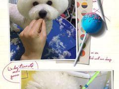 -爱宠屋pet shop·宠物洗澡·宠物美容