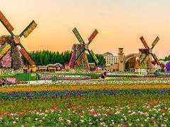 -南宁花花大世界景区