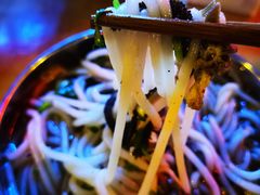 -攀枝花·任德琼·盐边羊肉米线
