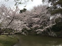 -苏州吴中太湖旅游区