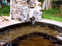 -金穗园温泉酒店