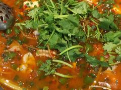 -院8里·少城记忆老川菜(宽窄巷子店)