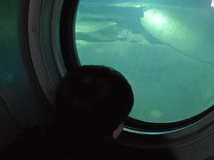 -白鹤梁水下博物馆