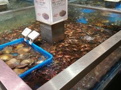 -盒马鲜生(帝斯曼店)