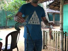-Green Lobster Waskaduwa Seafood Restaurant
