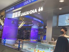-TD66高山铁皮石斛养生茶饮