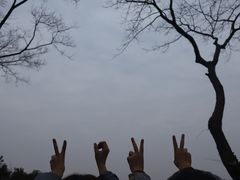 -杭州黄龙洞