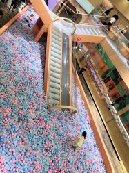 -泡泡米POPOME益智乐园(洪殿花园旗舰店)