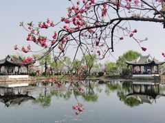 -无锡蠡湖国家湿地公园-蠡园