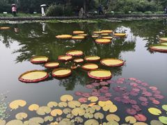 -国家植物园南园