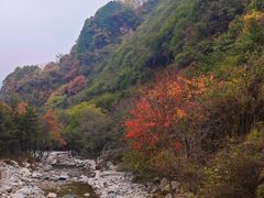 -少华山国家森林公园