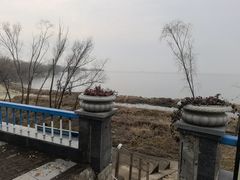 -合肥滨湖国家森林公园