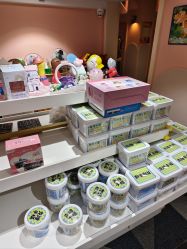 -宝燕水乐园(相城店)