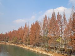 -蜀绣公园