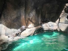 -哈尔滨波塞冬海底世界