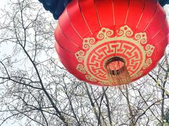 -深圳国际园林花卉博览园