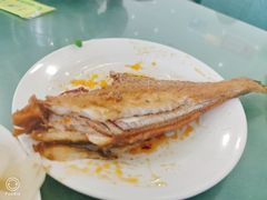-杨记拉面总店