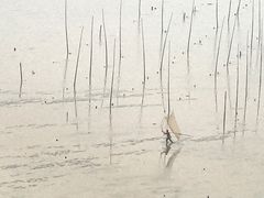 -北岐滩涂