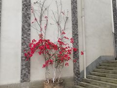 -湖广会馆-东水门及古城墙