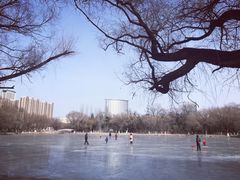 -青城公园