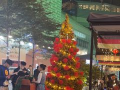 -haxnbauer海森堡德国餐厅(深圳coco店)