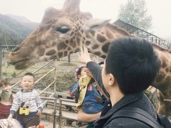 -西安秦岭野生动物园