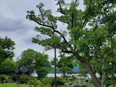 -杭州西湖柳莺里酒店