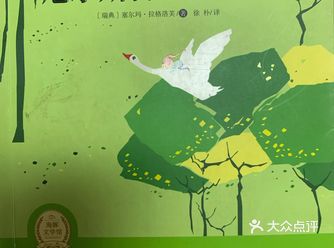 宝贝10岁，四年级在读《尼尔斯骑鹅旅行记》 