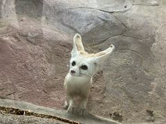 -长鹿旅游休博园