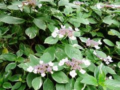 upload_pic-苏州河梦清园环保主题公园