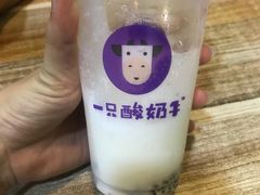 -一只酸奶牛(八一路店)