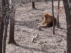 -哈尔滨北方森林动物园