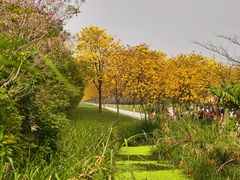 -厝包四点金·潮宴(太古仓店)