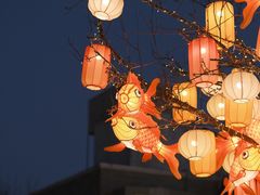 -龙湖星悦荟(颐和店)